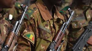 Le Mali attend un soutien matériel et non l'arrivée de forces armées de la part de ses voisins/ DR