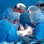 transplantation d'organes