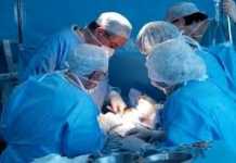 transplantation d'organes