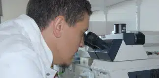 chercheur algérien