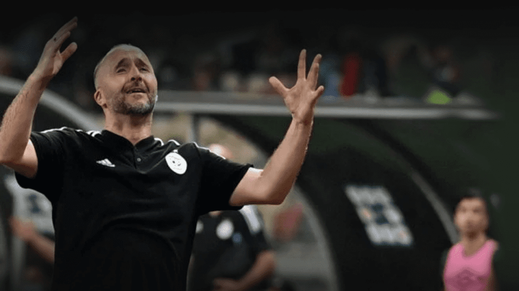 Belmadi Belmadi