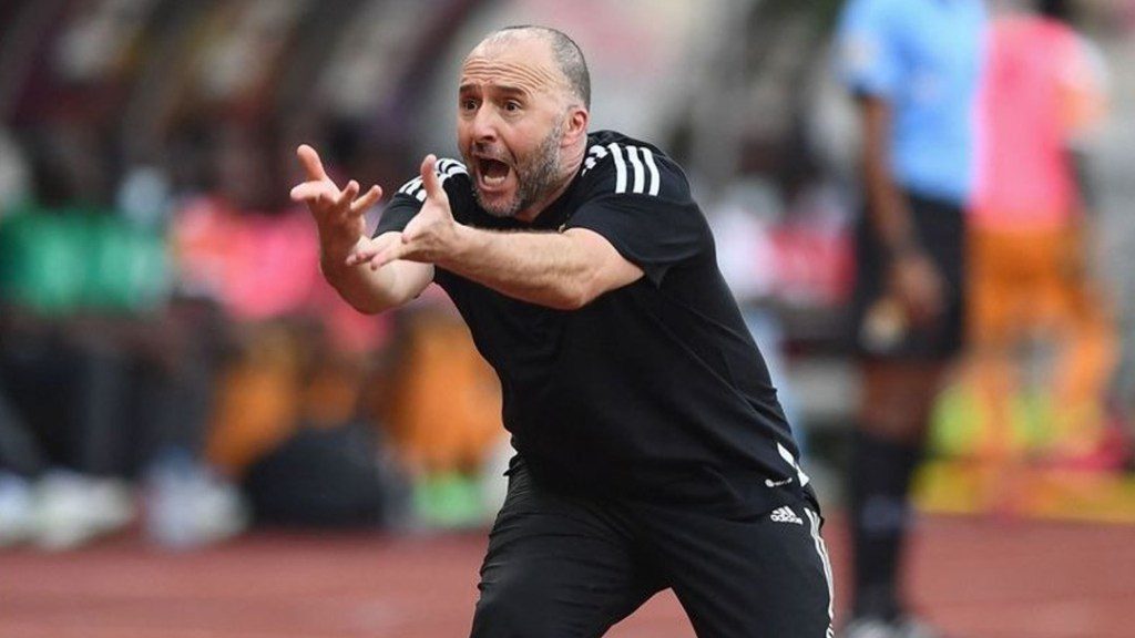 Belmadi Belmadi