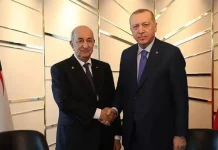 tebboune Erdogan