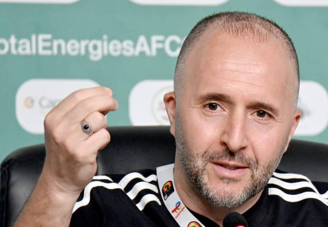 Belmadi-8