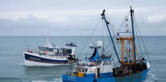 navires algériens