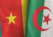 Cameroun Algérie