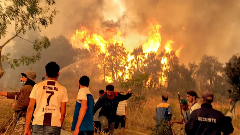 Feu de forêt Feu de forêt