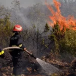 Incendies de forêt en Algérie