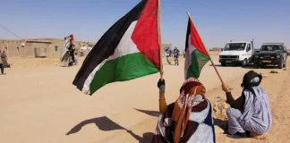 Sahara occidental