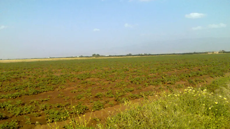 propriétés agricoles propriétés agricoles