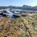Recul du niveau de la mer en Algérie