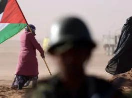 Enquête française révèle des preuves de la corruption des députés européens par le Maroc pour "légitimer" son occupation du Sahara occidental