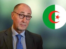 L'Algérie dans le Viseur : Xavier Driencourt, Ancien Ambassadeur de France, Appelle à un Changement de Cap