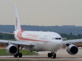 Air Algérie Étend ses Ailes en Afrique : Nouvelles Liaisons vers le Caire et Tarifs Compétitifs