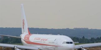 Air Algérie Étend ses Ailes en Afrique : Nouvelles Liaisons vers le Caire et Tarifs Compétitifs