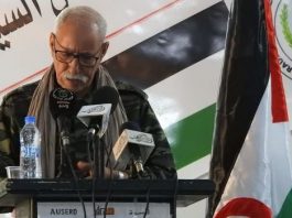 Conflit au Sahara Occidental : Le Plan de Règlement ONU-OUA, Dernier Espoir de Résolution