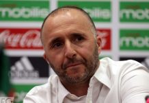 Djamel Belmadi Révèle sa Stratégie pour l'Équipe Nationale d'Algérie