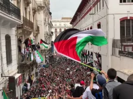 En Soutien à la Palestine : Marches Massives Prévues dans Toutes les Wilayas d'Algérie Demain