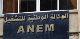 Formation Professionnelle en Algérie : 88 000 Places pour les Demandeurs d'Emploi
