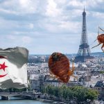 L'Algérie Prend des Mesures Draconiennes pour Éviter l'Invasion de Punaises de Lit en Provenance de France