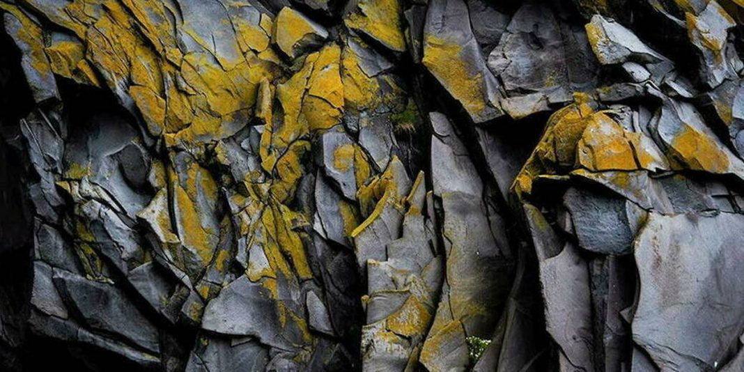 L'Algérie dans le TOP 20 mondial des ressources naturelles L'Algérie dans le TOP 20 mondial des ressources naturelles