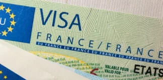 Les Chinois et les Algériens en Tête des Demandes de Visas Schengen pour la France