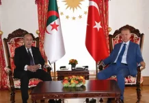Président Tebboune et Président Erdogan : Dialogue crucial sur la Palestine et les relations bilatérales