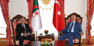Président Tebboune et Président Erdogan : Dialogue crucial sur la Palestine et les relations bilatérales