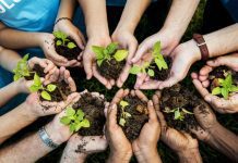 Sonatrach s'engage dans un projet écologique majeur : 1 milliard de dollars pour la plantation de 420 millions d'arbres