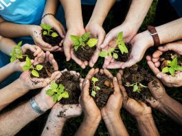 Sonatrach s'engage dans un projet écologique majeur : 1 milliard de dollars pour la plantation de 420 millions d'arbres