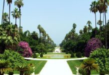 Aromed 2023 au Jardin Botanique du Hamma : L'Algérie à la Conquête des Plantes Médicinales et Aromatiques