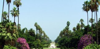 Aromed 2023 au Jardin Botanique du Hamma : L'Algérie à la Conquête des Plantes Médicinales et Aromatiques