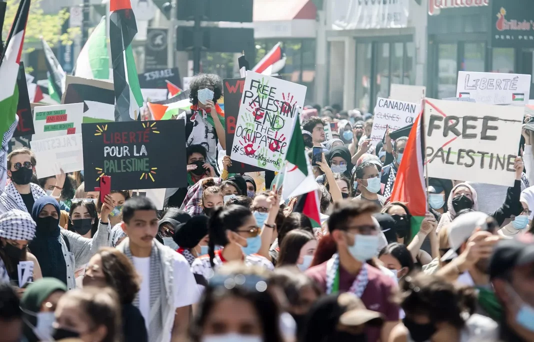 Censure des Films sur la Palestine La Solidarité s'Organise à Montréal Censure des Films sur la Palestine : La Solidarité s'Organise à Montréal