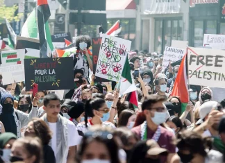 Censure des Films sur la Palestine : La Solidarité s'Organise à Montréal