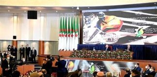 ConnectAlgeria : Une Plateforme Révolutionnaire pour le Rayonnement des Talents Algériens
