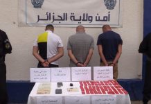Coup de Filet Majeur en Algérie : Un Réseau de Trafic Démantelé, Des Millions de Substances Illicites Saisies