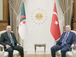 Forum Économique Algéro-Turc : L'Alliance de Deux Nations pour un Avenir Prospère