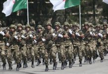 Global Fire Power: L'Armée Algérienne, une Puissance Émergente
