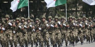 Global Fire Power: L'Armée Algérienne, une Puissance Émergente