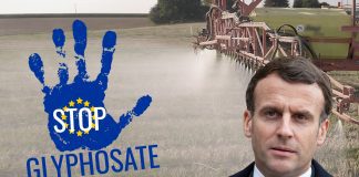 Glyphosate : Les ONG Contre-Attaquent en Saisissant la Justice de l'UE