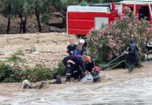 Inondations en Algérie : Héroïsme et Tragédie dans les Opérations de Sauvetage