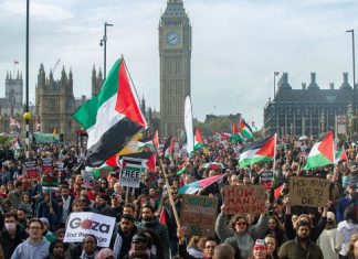 Journée Mondiale de Solidarité : Stop au Génocide Palestinien