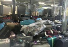L'Aéroport d'Alger s'Attaque aux Retards de Bagages : L'Arrivée de Deux Nouveaux Acteurs en Vue