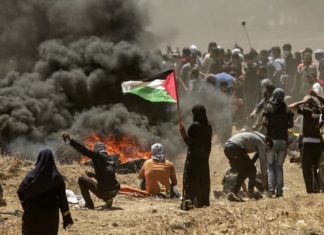 Algérie : Une Condmanation Sans Équivoque des Attaques d'Israël sur Gaza - Un Plaidoyer pour la Justice et la Paix