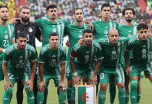 L'Algérie en Pleine Ascension : Nouveau Classement FIFA Révèle des Performances Éclatantes
