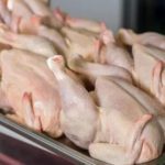 L'Algérie ouvre ses frontières à l'importation massive de viande blanche pour contrer la flambée des prix