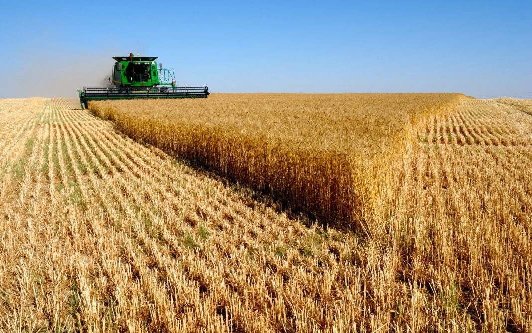 L'Algérie se Tourne vers le Blé Russe Un Nouveau Cap dans les Relations Agricoles L'Algérie se Tourne vers le Blé Russe : Un Nouveau Cap dans les Relations Agricoles