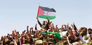 L'Italie Étend sa Main à la Cause du Sahara Occidental : Émilie-Romagne Pionnière de la Solidarité