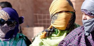 L'ONU Dévoile un Plan Humanitaire Ambitieux : 214 Millions de Dollars pour les Réfugiés Sahraouis en Algérie
