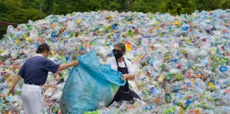 Le Combat pour l'Avenir Bleu : Divergences et Espoirs dans la Guerre contre la Pollution Plastique au Kenya